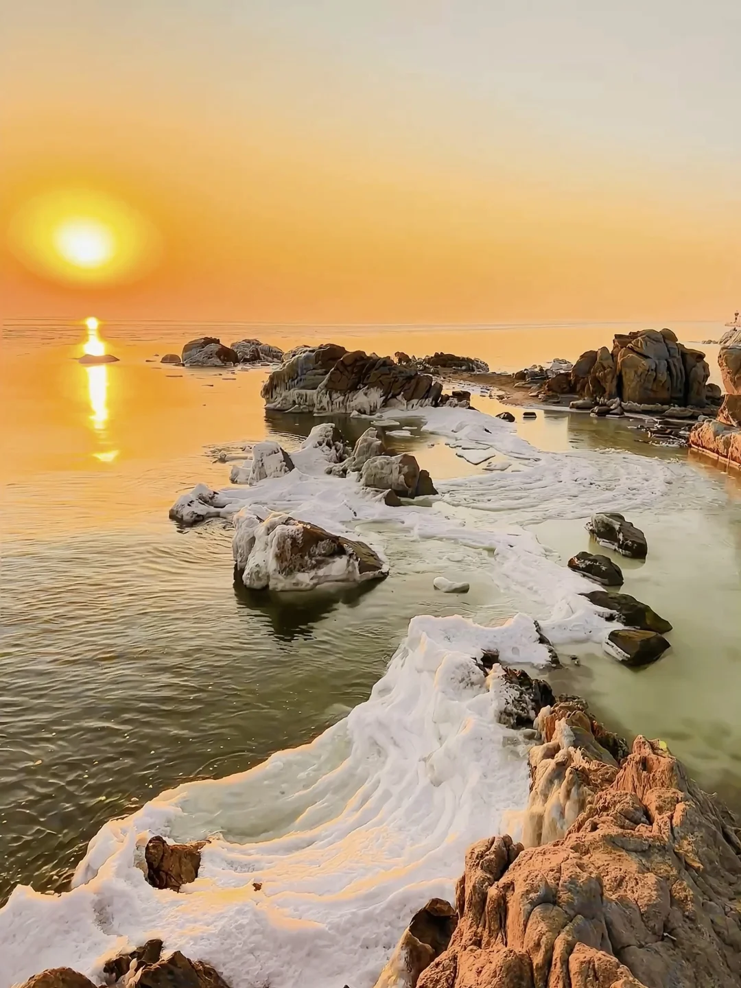 没去国外，是秦皇岛❗️live图简直美爆了❗️