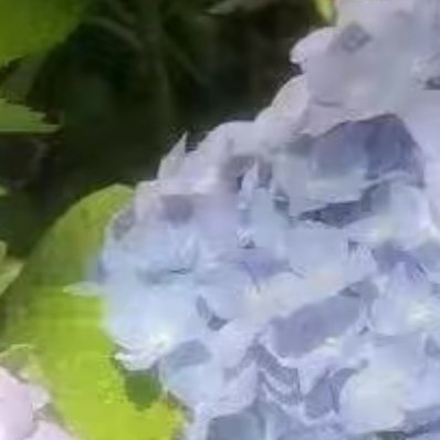 0000
向善而行，不负初心。践行社会主义核心价值观，从一言一行做起，多一份体谅，多一份温情，用平凡善举传递正能量，共筑文明和谐新风。 ​