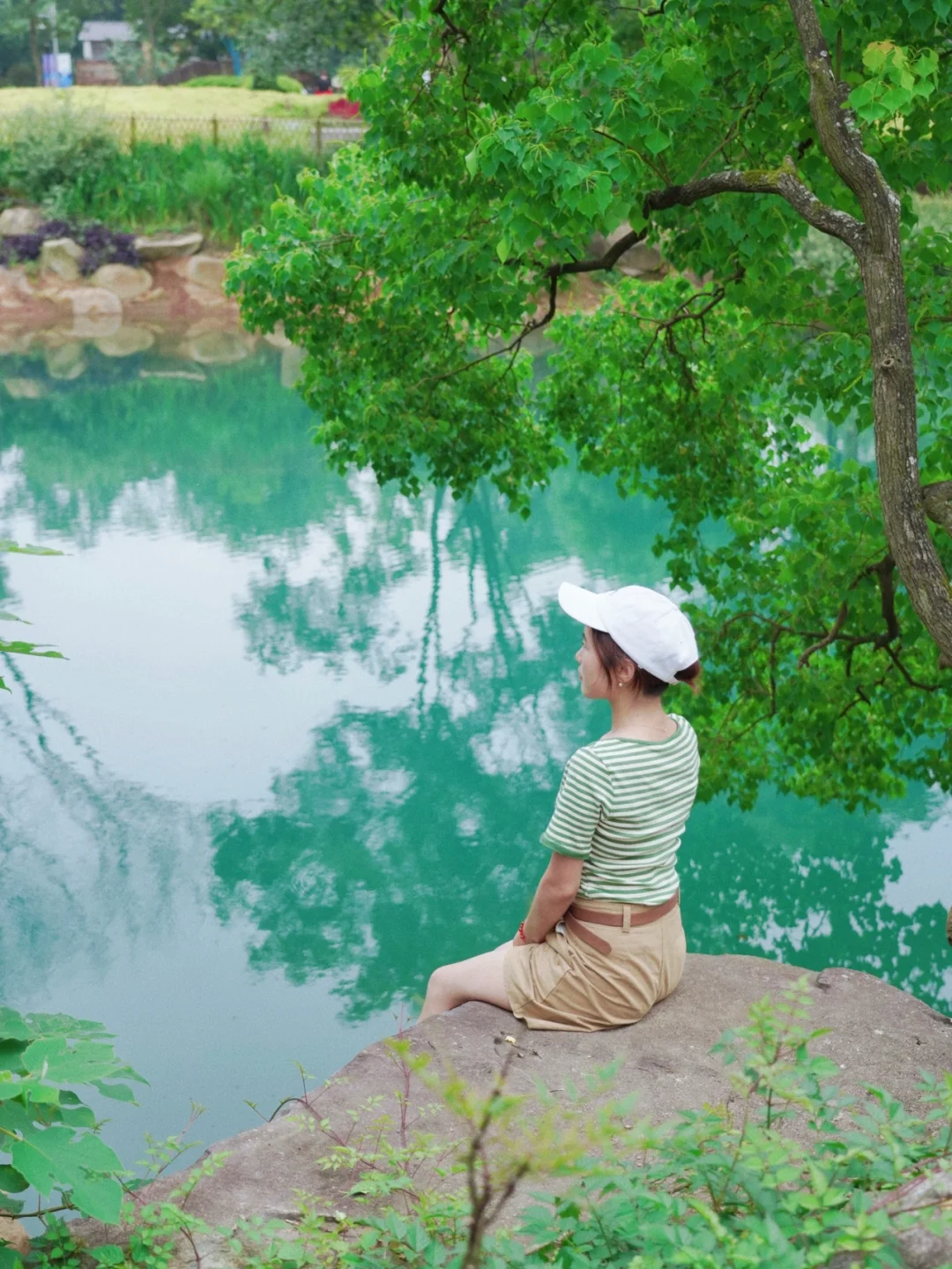 杭州夏日吸氧胜地！清凉竹海溪流的绿光森林