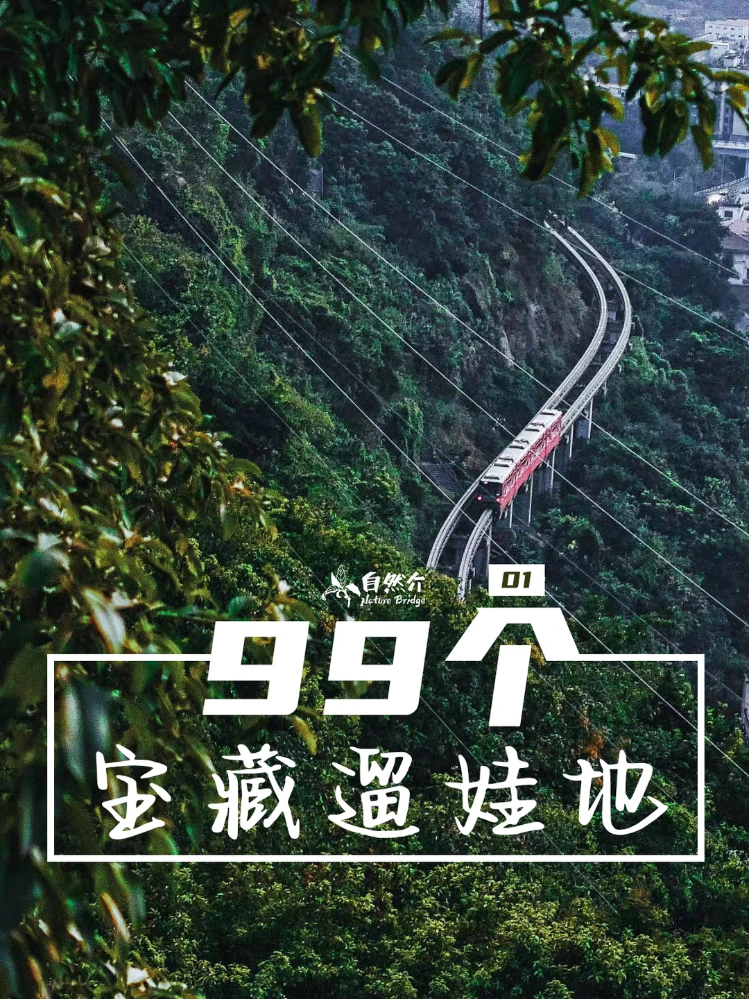 打卡99个宝藏遛娃地-鹅岭公园