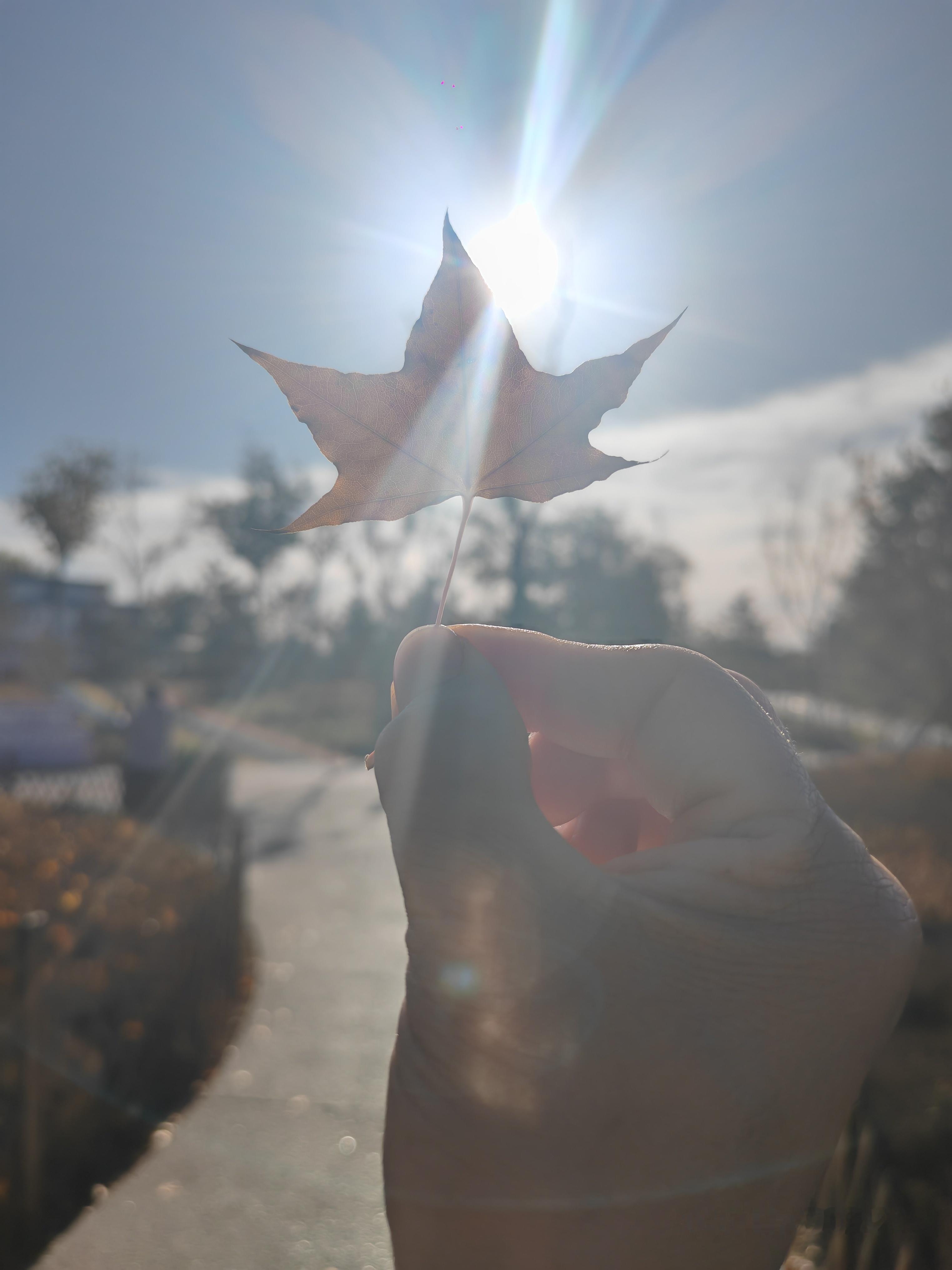 我发现很多夫妻间的矛盾，不是爱与不爱，而是两性的差异思维造成的。 这句...