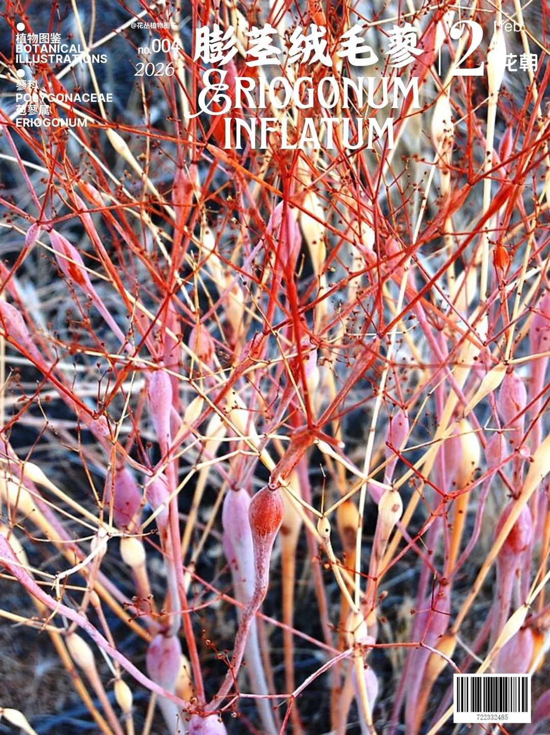 酷似水螅虫的植物