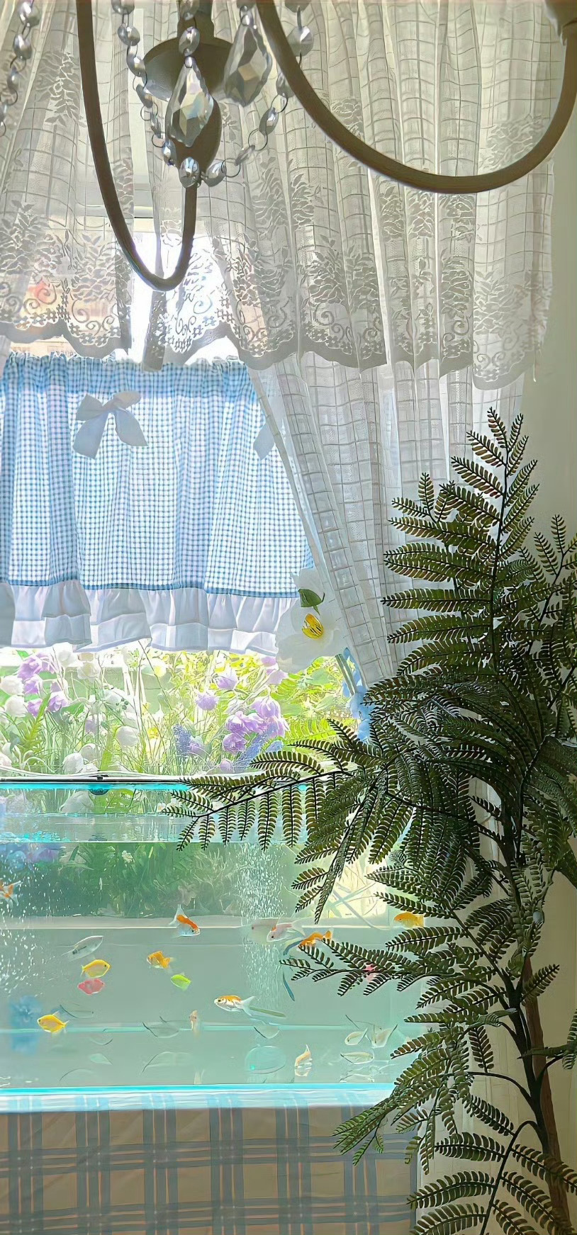 🪺100%更新日记💭 ​