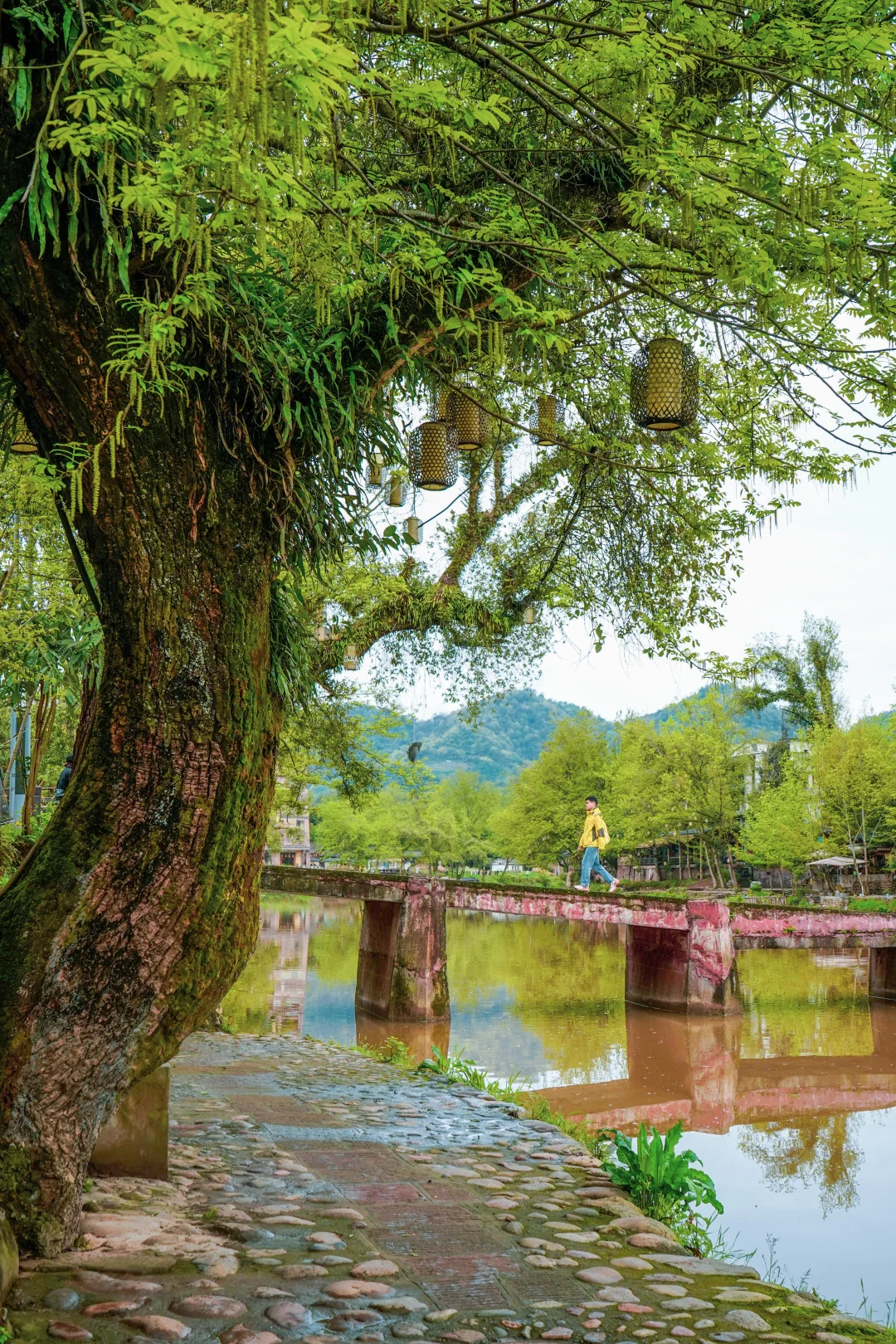 成都周边1.5小时直达的江南烟雨古镇❗