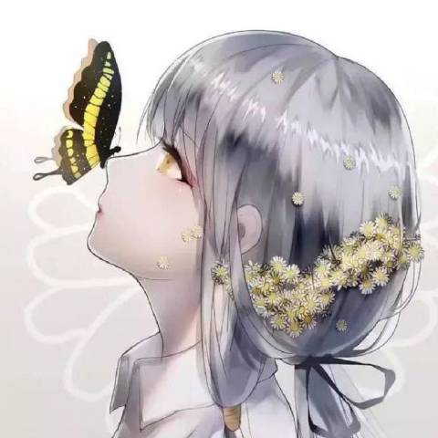 小白云朵朵