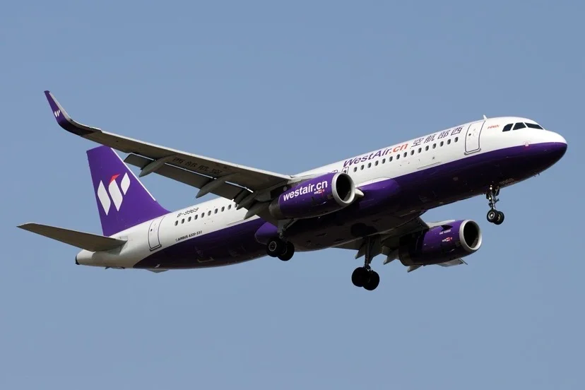 西部航空：大股东易主！