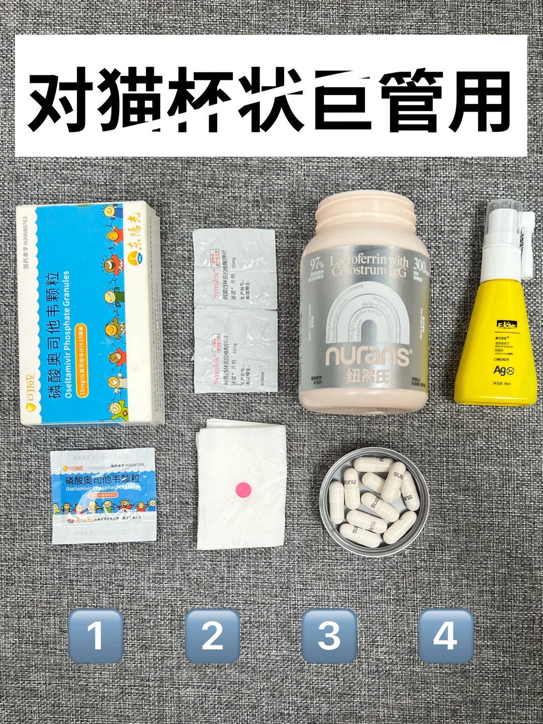 居家自治！猫杯状用这4件套搞定