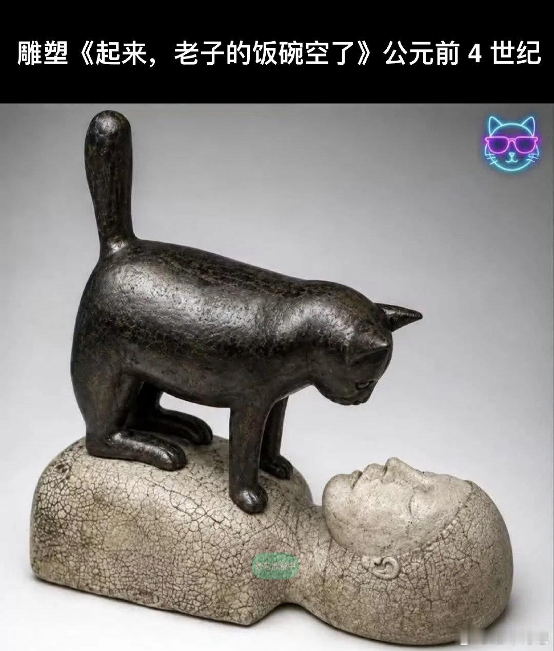 #看看猫猫# 圣遗物 ​