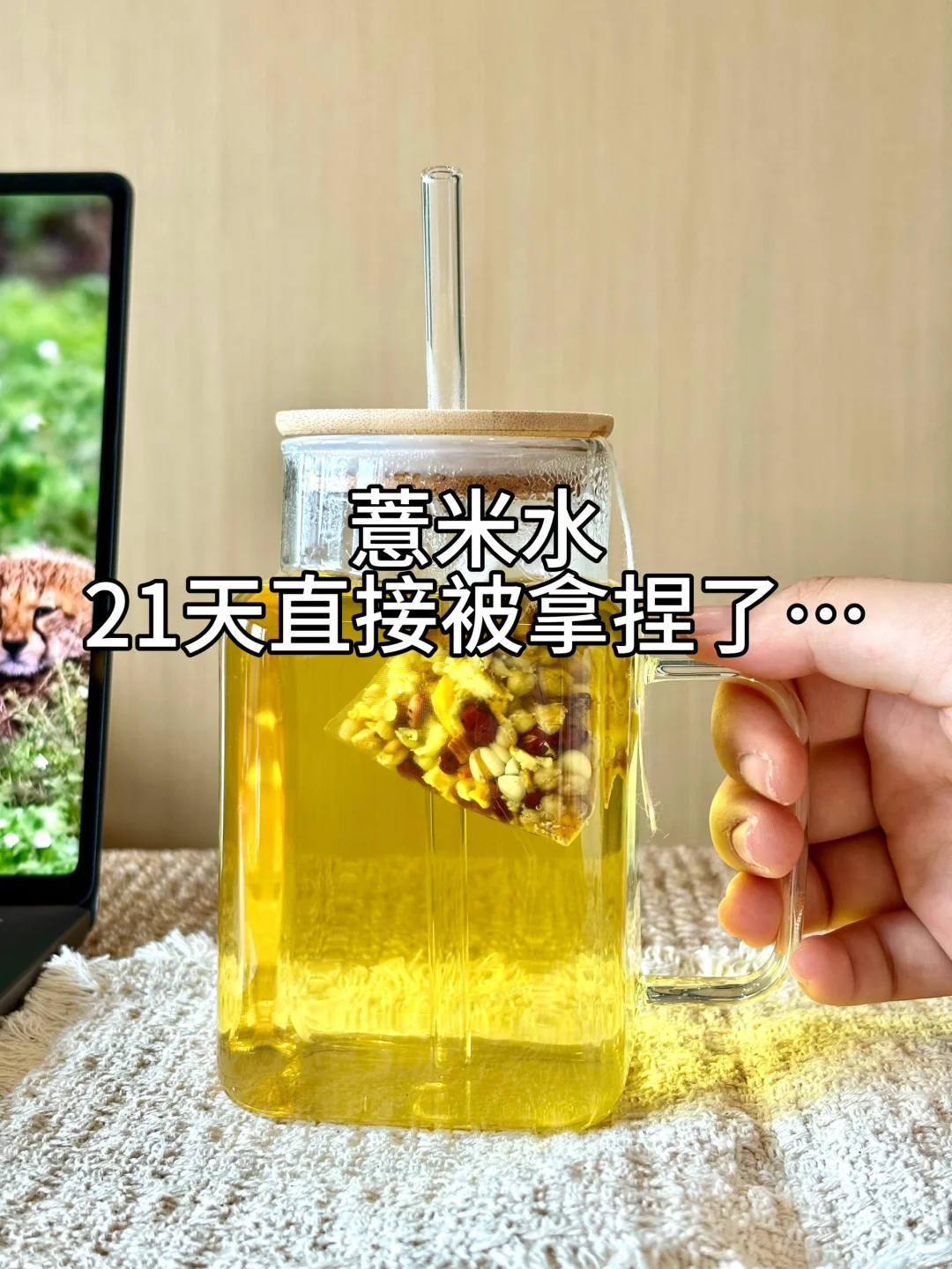 Wok…这杯薏米水真的把我拿捏得死死的！☀️