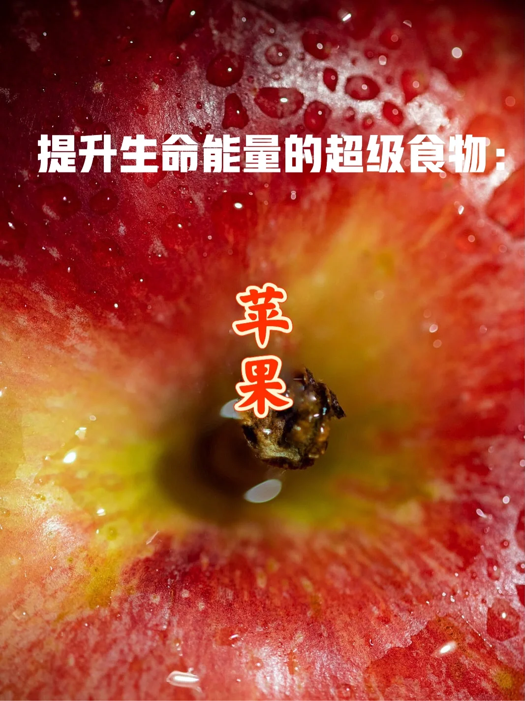 宇宙疗愈食物之：苹果🍎