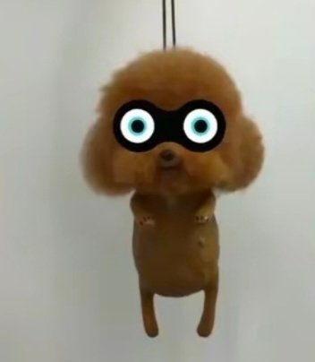我记得你们以前是扇吵架冷脸的还说小丑鼻不烧烤了，怎么现在在发散不卖了离婚了呢 ​