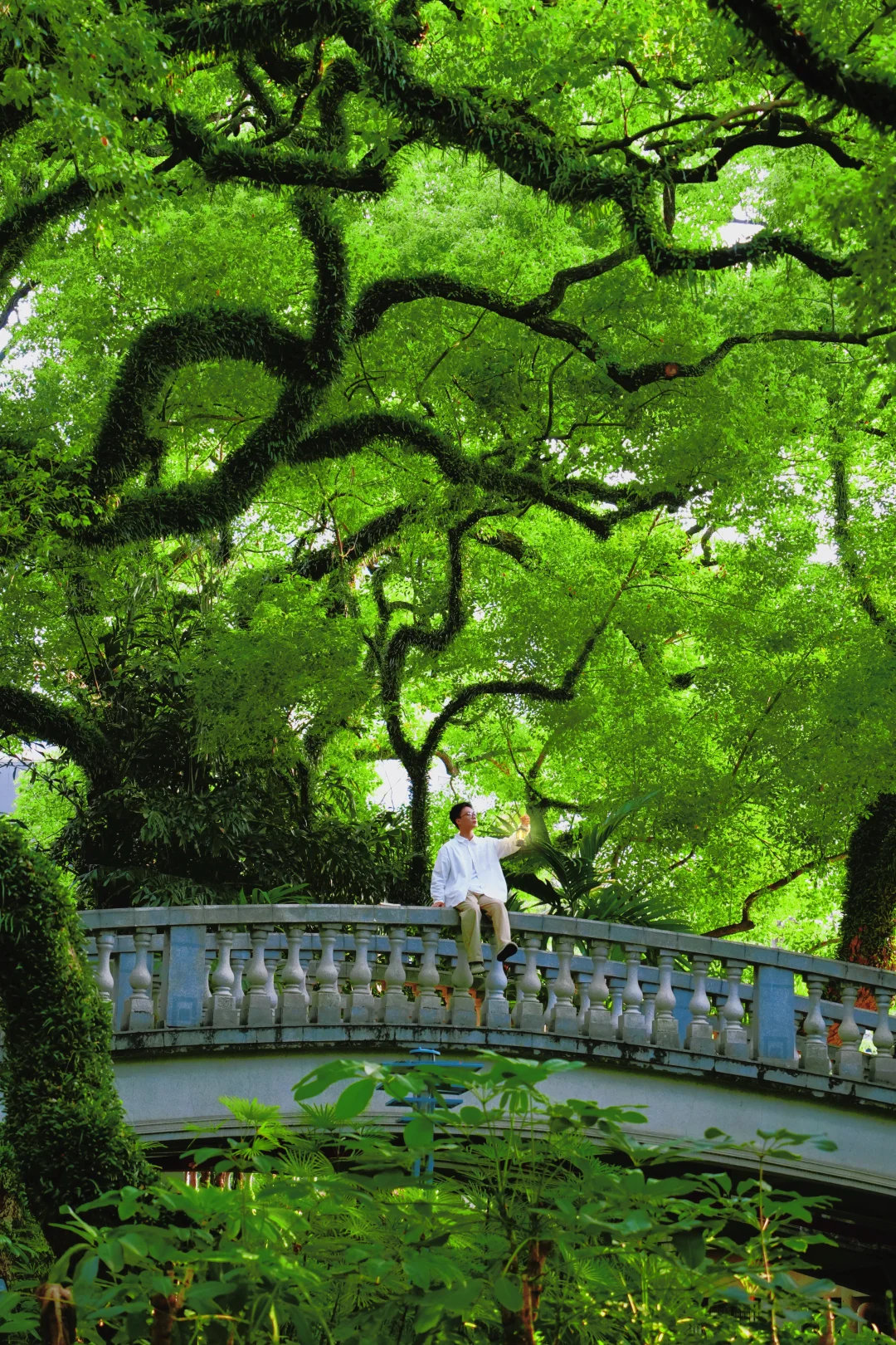 初夏来临之前·总要去趟佛山的情怀公园吧