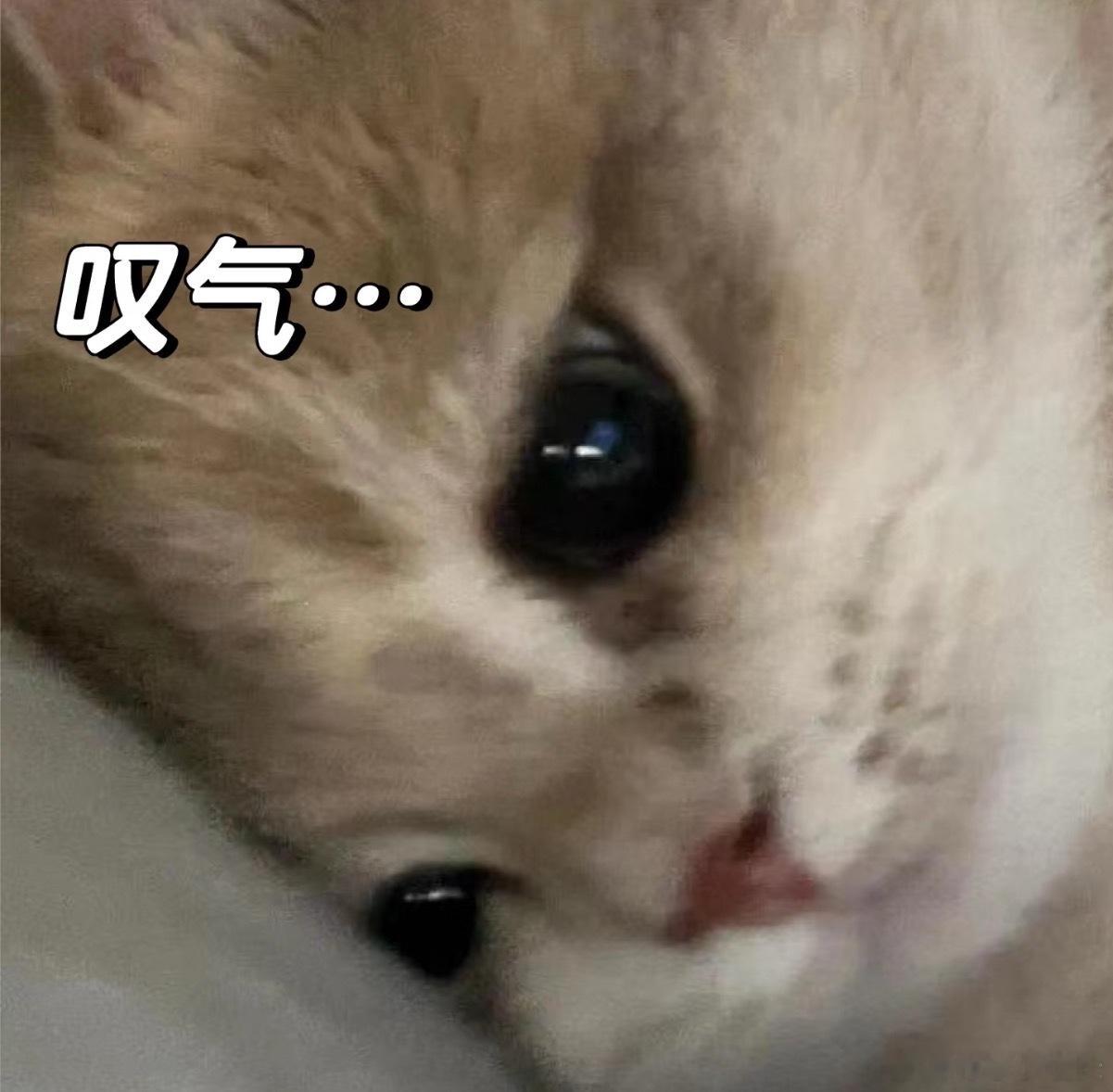 摆脱礼物焦虑的五大法则 ​​​