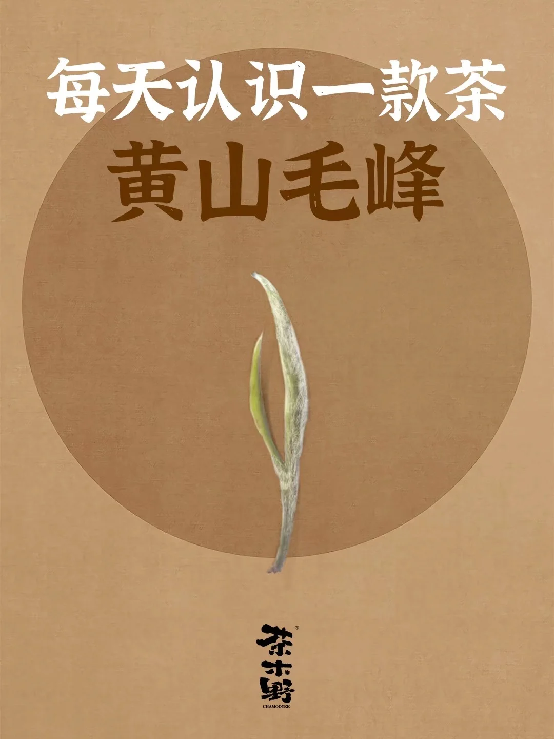 知识分享丨一分钟了解黄山毛峰