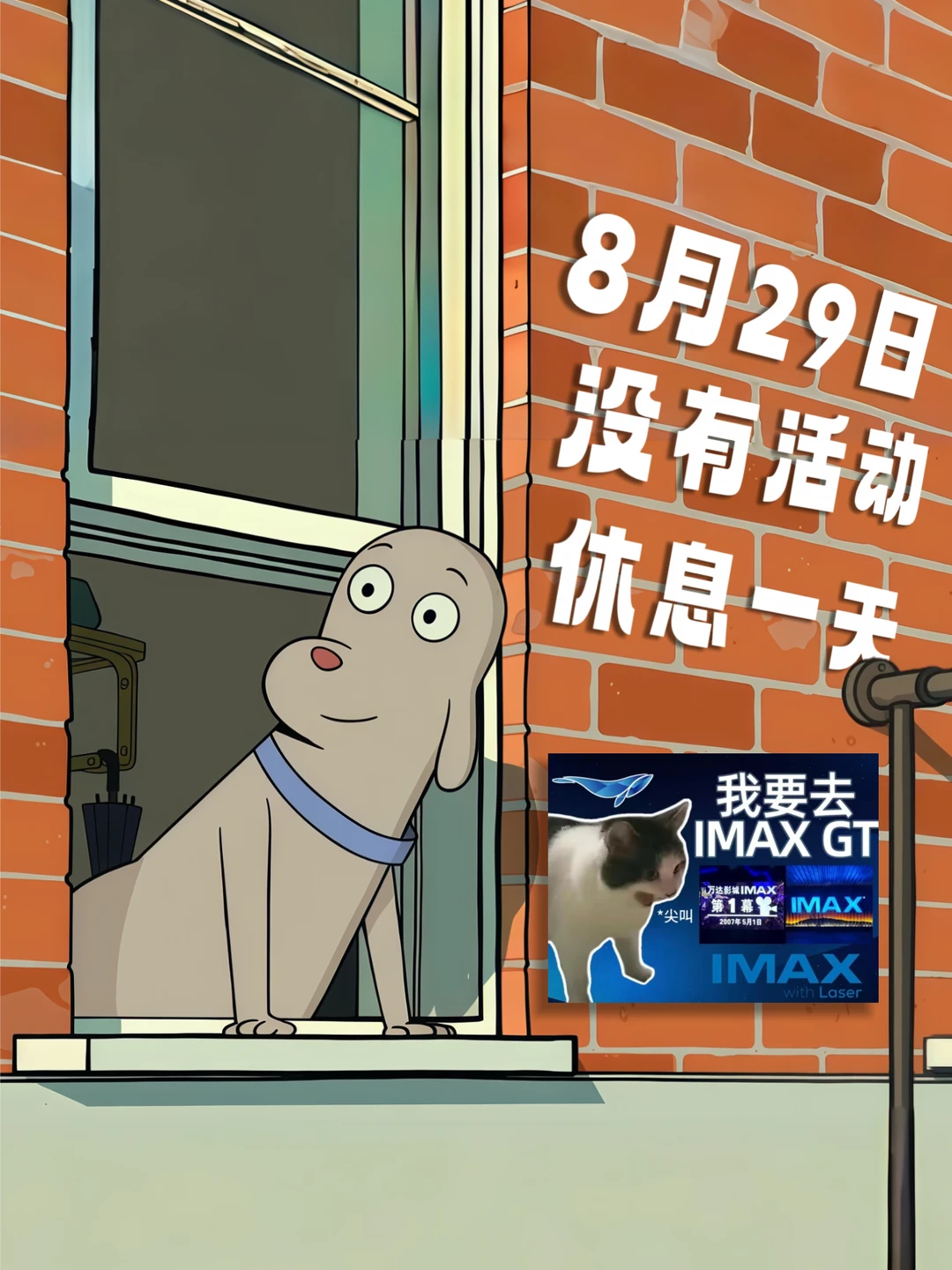 8月29日  休息一天  没有活动