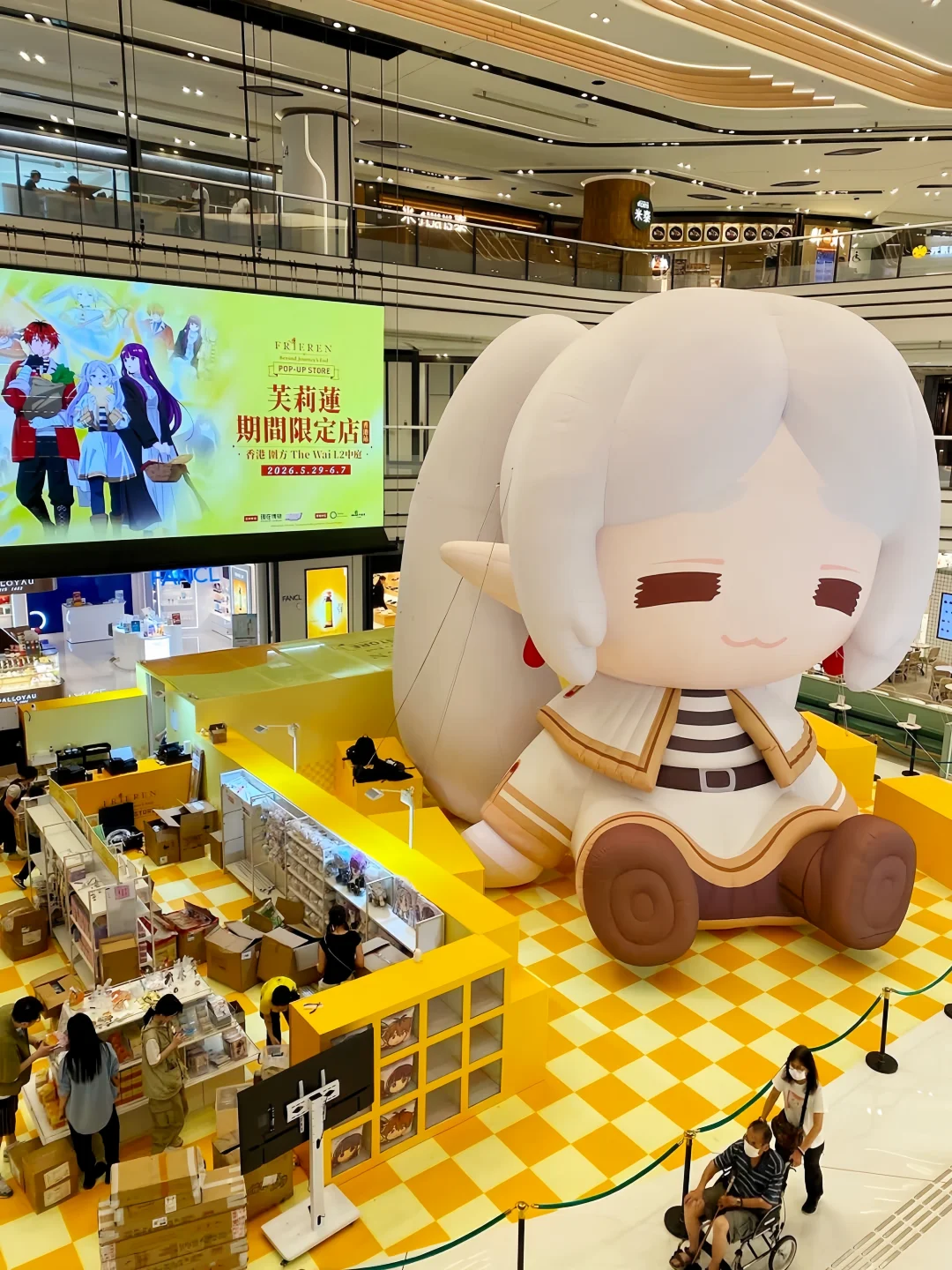 🇭🇰首发！香港惊现巨型芙莉莲！！！