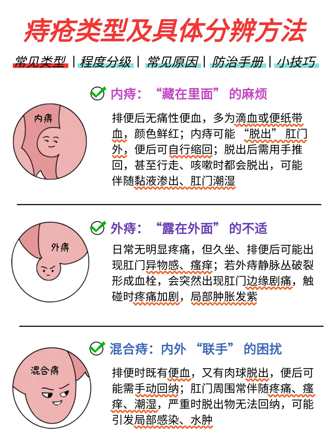 痔疮反反复复❓又痛又痒❓真相在这里❗
