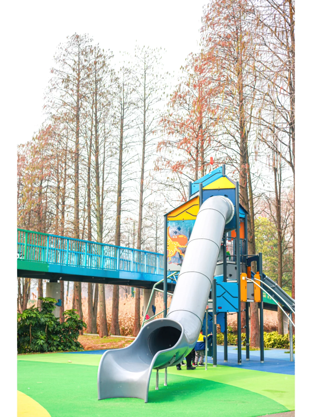 武汉遛娃｜藏在东湖里的宝藏骑行地🌈彩虹桥