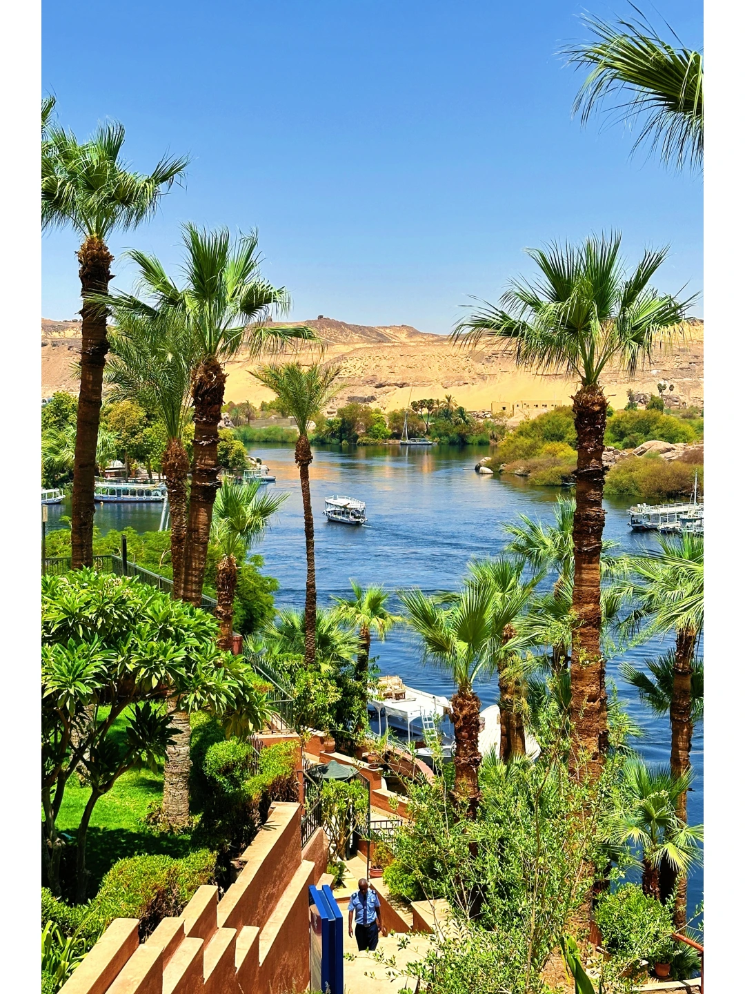 如果你看过《1001夜》，那么一定要去次埃及