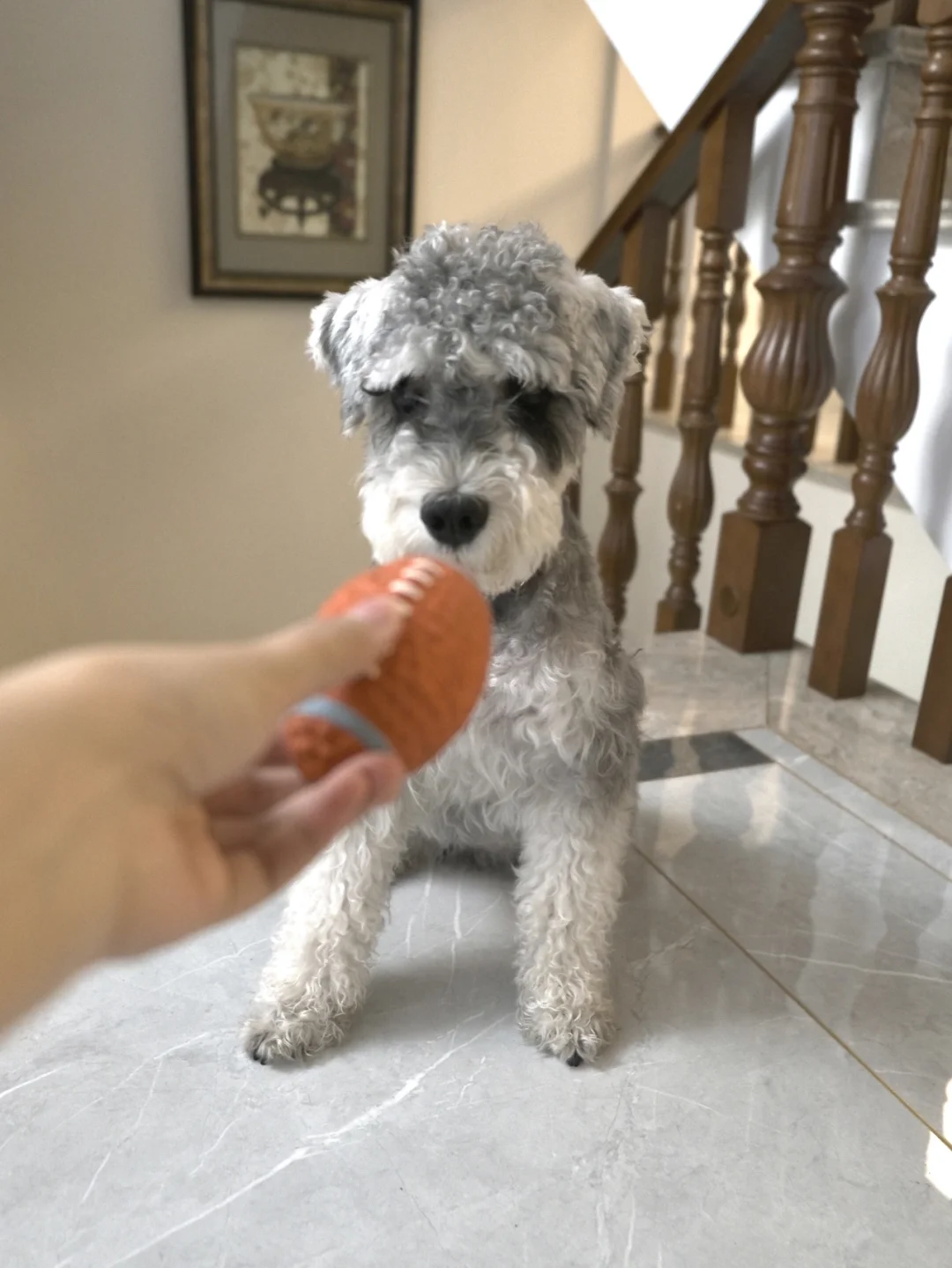 viki坠爱的游戏—玩⚽️⚽️