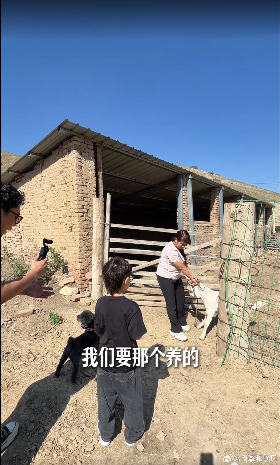 旅途中，小朋友悄悄许下两个心愿。第一个很平常，要个网红小羊玩偶；第二个却让亲爹彻底傻眼——居然是想养一只活生生的小羊。带着小狗丁丁，开着从神州租的腾势 N8L一路奔向新疆。玩偶到手本以为任务完成，结果还是在草原上喜提真羊一只。这趟旅行最动人的从来不是完美计划，而是硬着头皮接住孩子那些 ​