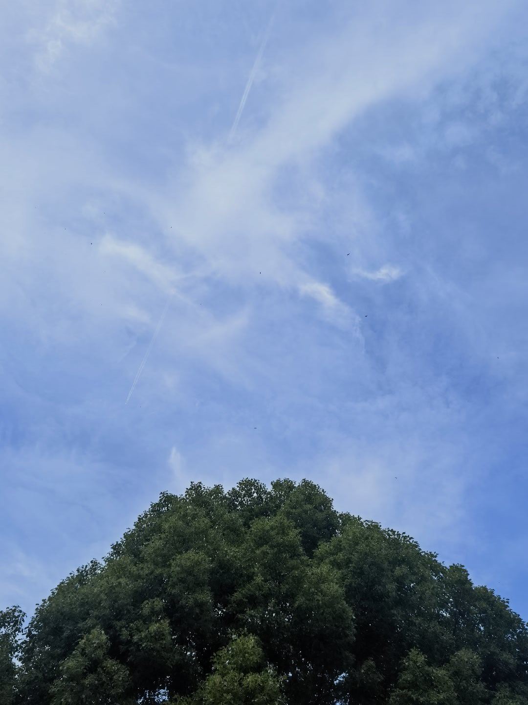 那什么超强钢，零糖听起来多好听，多高大上，结果是商品名。 以前吧，所谓...