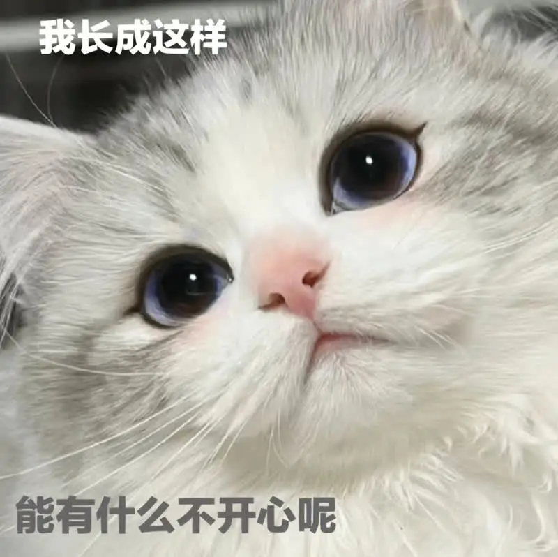周深的嗓音特质太难得，他的声线发育状态特殊，喉结没有长成典型男声，保留了干净的童声质感，实在太难得！