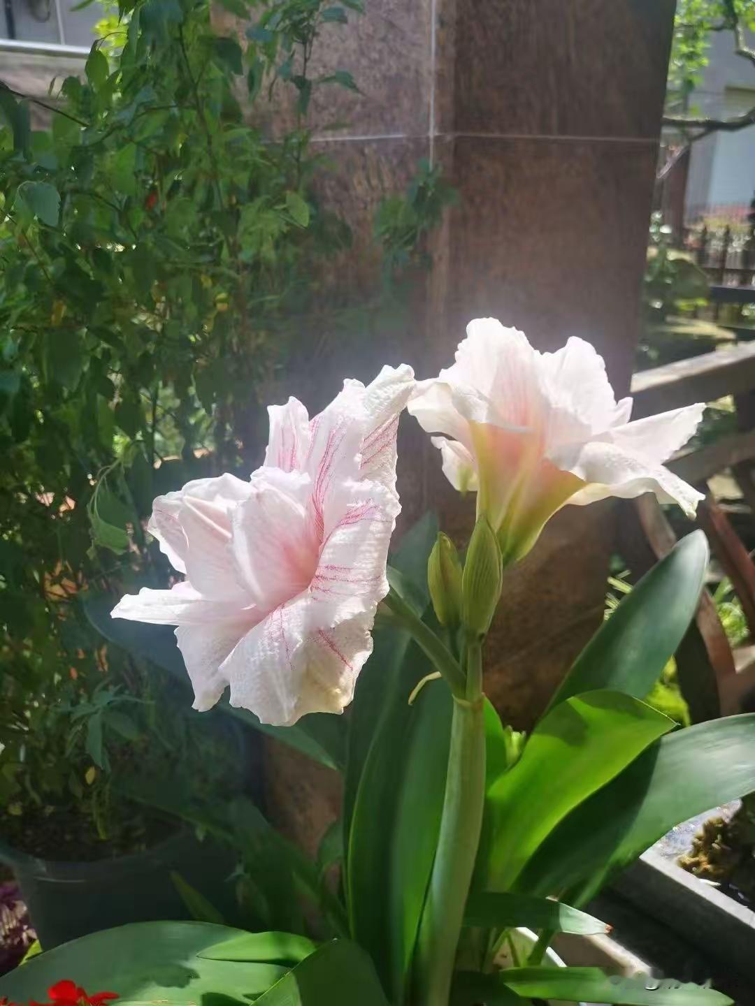 结婚率创新低 离婚率走高， 年轻人的婚姻观变了？    2024年结婚...