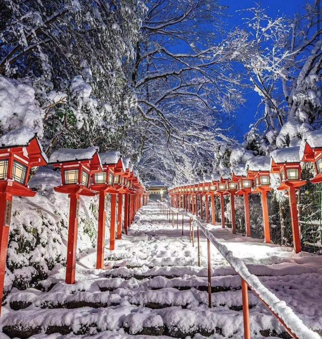 日本京都｜落雪的神社显得格外神圣格外美！