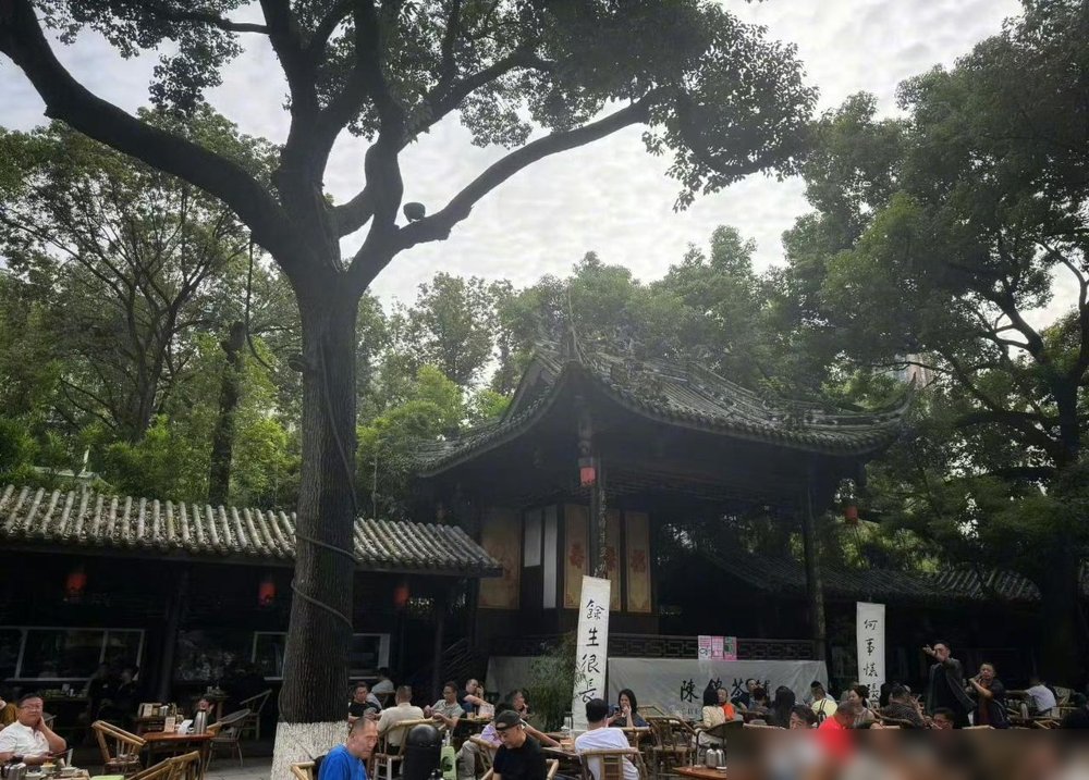 孙俪在成都文殊院被拍到了，身边就一个圈外素人朋友，没助理没保镖没明星团。
俩人穿着普通，素颜，混在香客堆里上香、吃斋、拍照，全程没一个人认出来。有路人说，她朋友帮她拍照时，她就在台阶上蹲着等，跟普通游客没两样。
要知道她新剧《危险关系》刚三台联播完，热度正高。换别人早组局拉一圈圈内好友，拍照发通