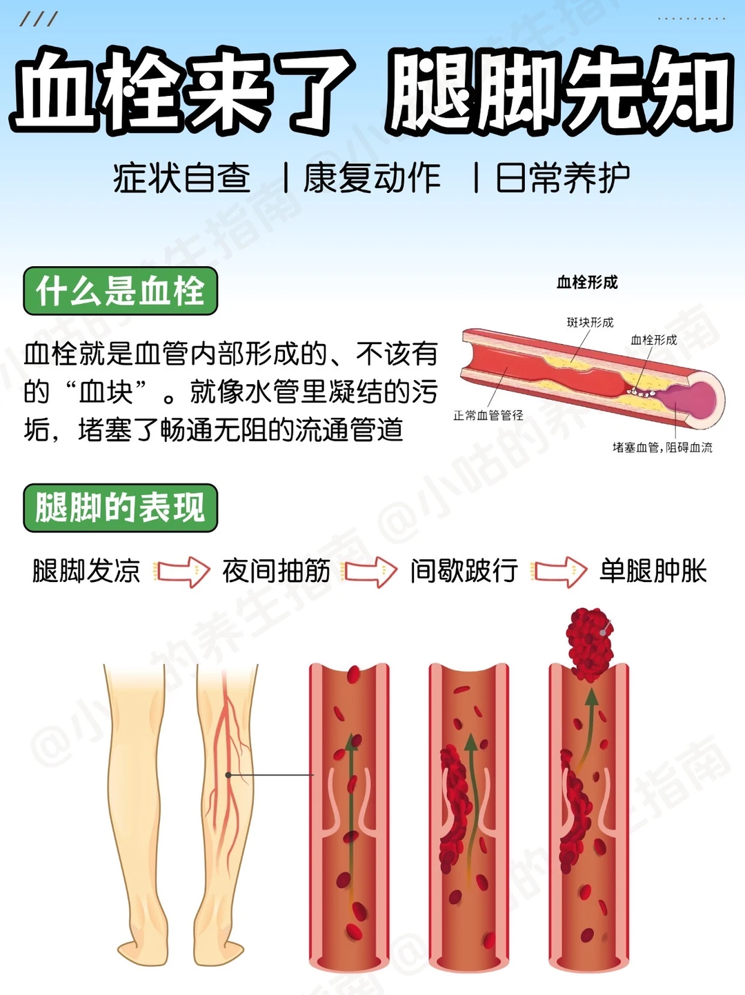 血管年轻了，🩸栓远离了