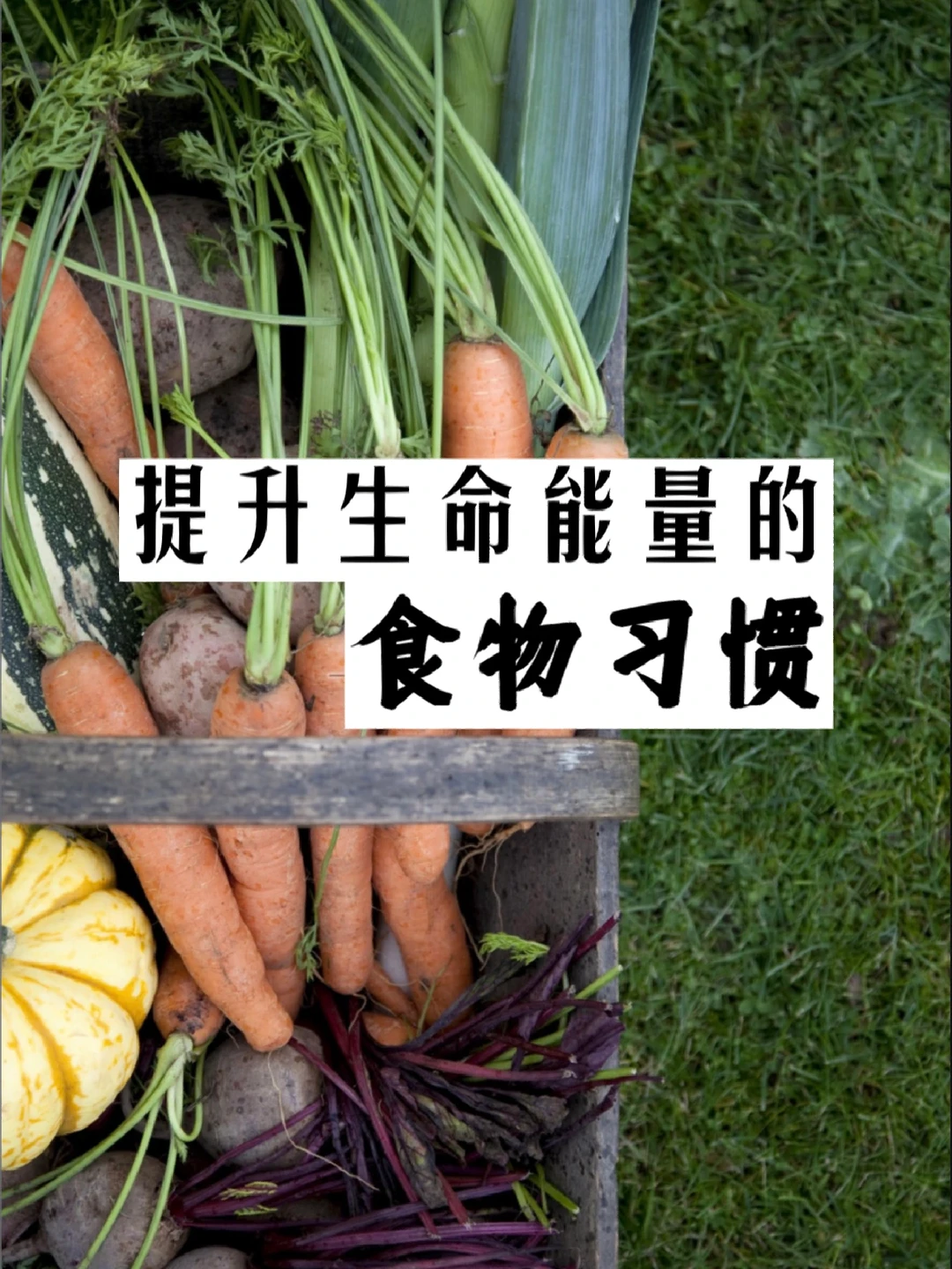 提升生活的食物习惯｜让食物成为自己的食物