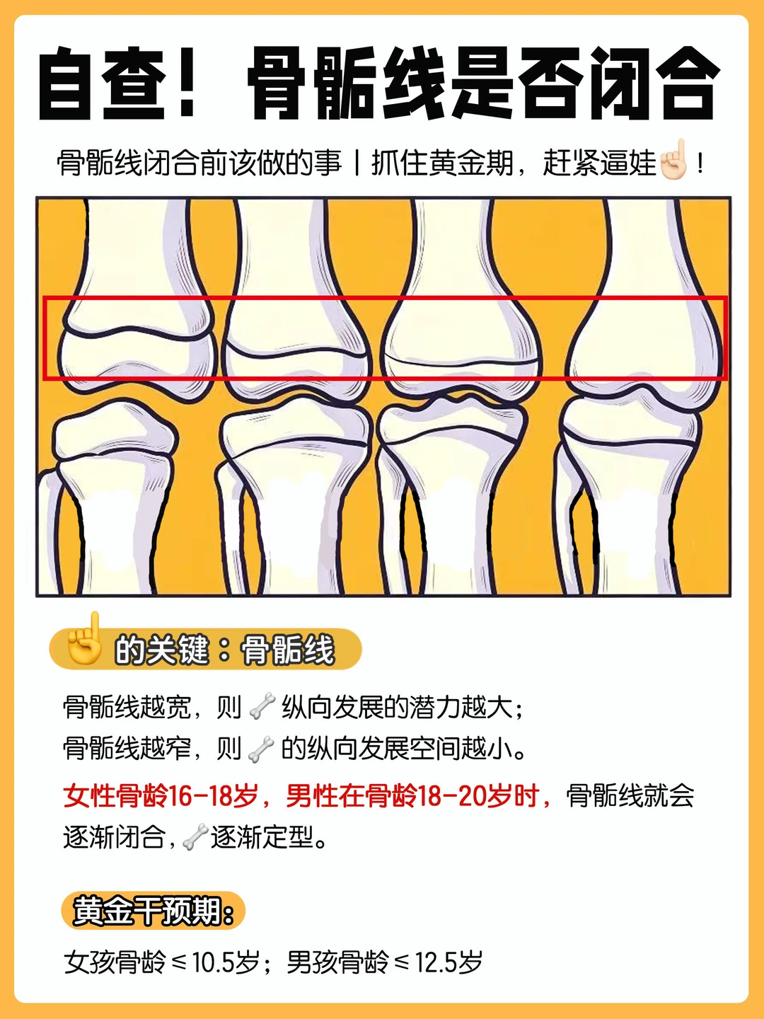 🔥 孩子到底该“补钙”还是该“早钙晚肽”⁉️