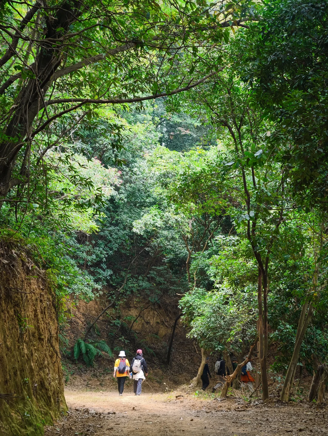 一脚跨两城，藏在森林里12km绿野穿越🌳