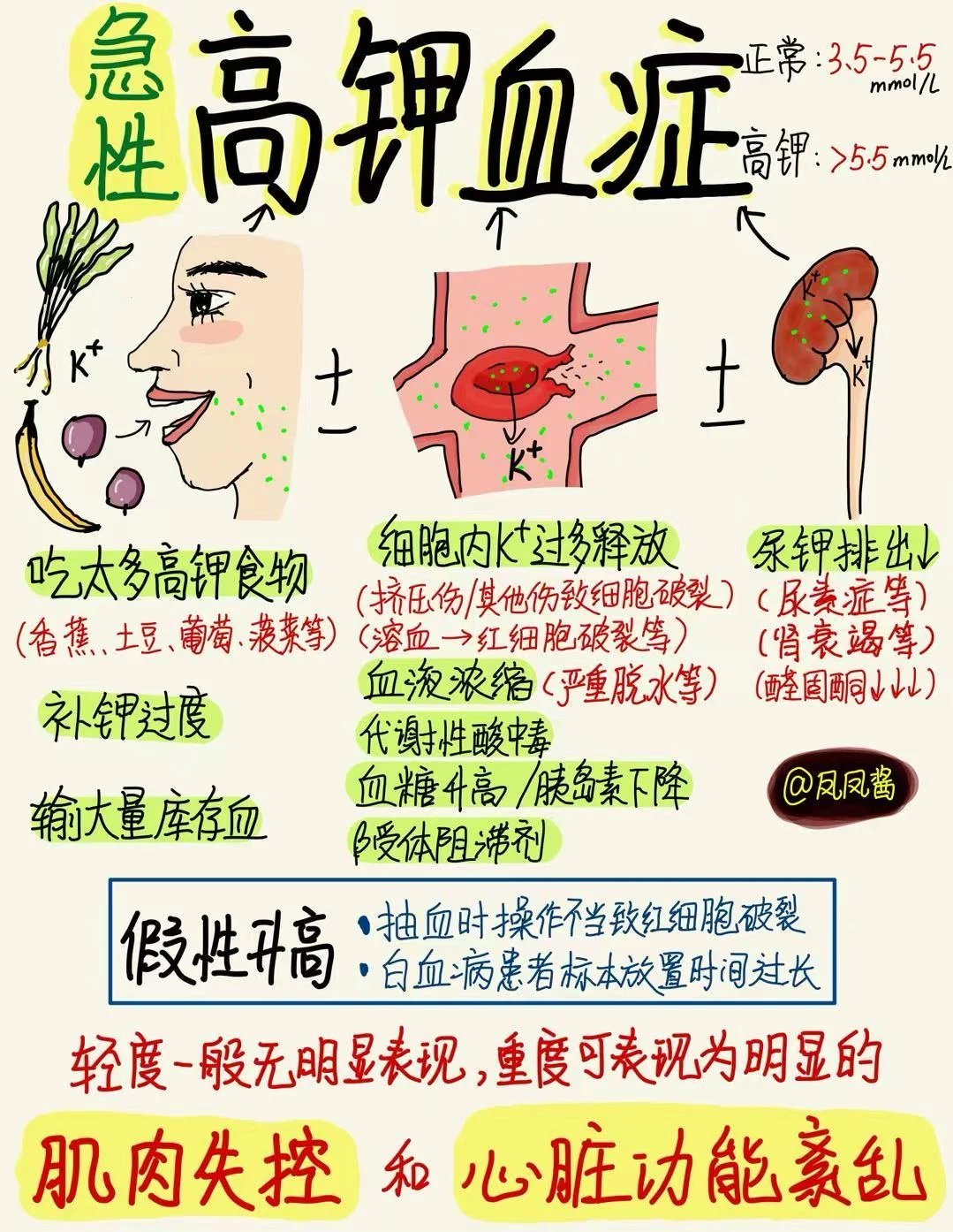 📖手绘笔记｜高钾血症 建议点赞收藏