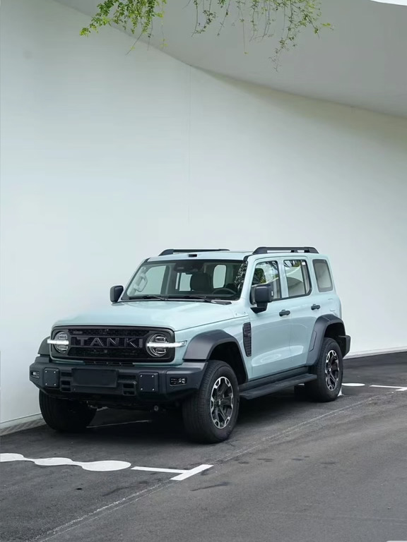 雾霾蓝坦克300💙