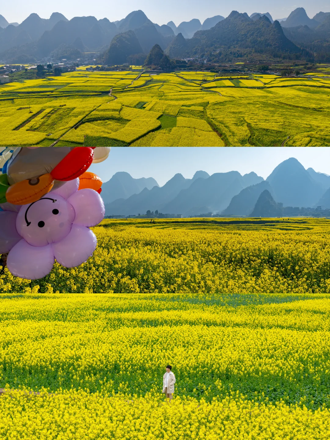 惊艳！2月的万峰林已开成金色海洋！