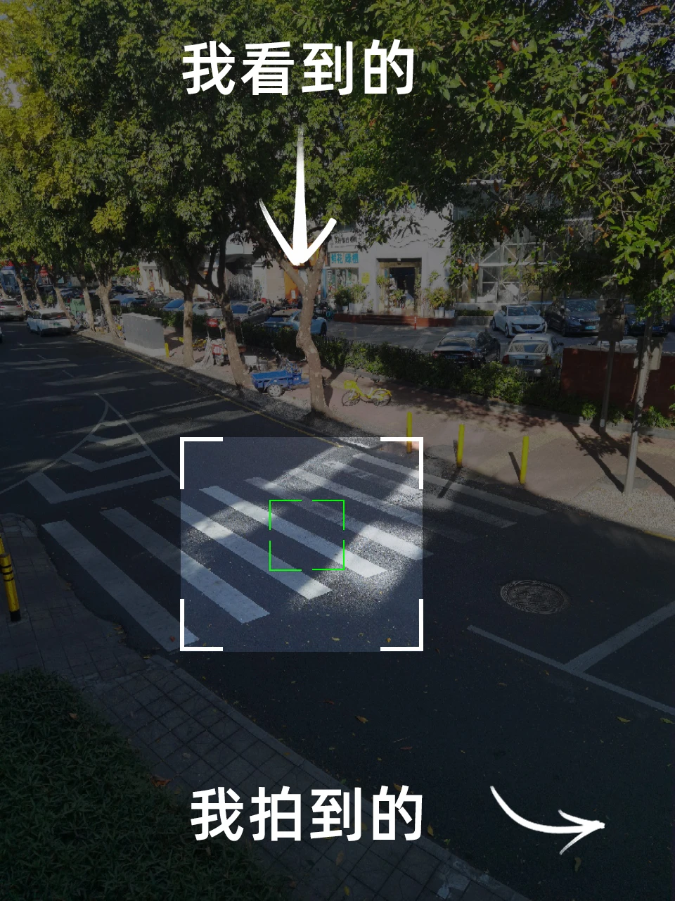 我看到的vs我拍到的｜培养摄影眼01