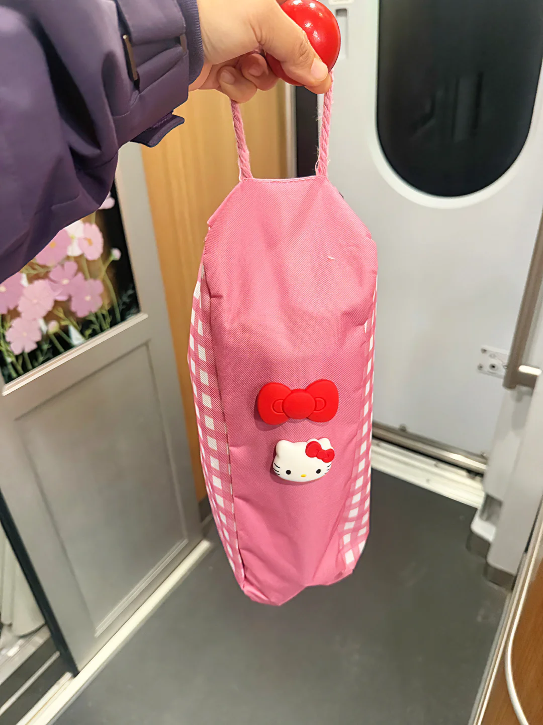 答应我！春运一定要带上它