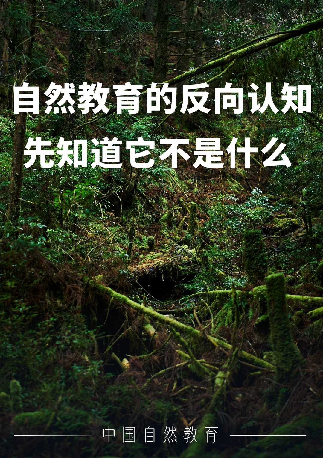 🌿 什么是自然教育？先知道它不是什么