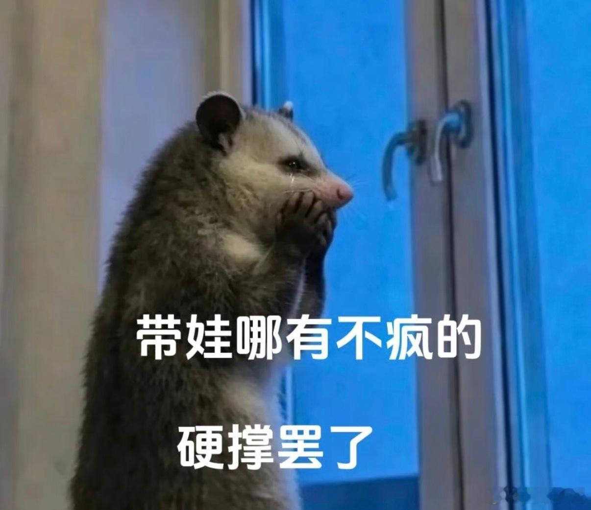 吃夜宵，丑爹跟我说：“娃有时候闹瞌睡，不舒服，奶奶不理解，可能会打孩子，你要理解一下，带娃是这样的，有时候心累了就容易发脾气，人都有情绪，这是正常的。奶奶的思维固定了，我们劝她不打孩子也没用。护孩子的时候，也要考虑老人的心态，就说她带娃累了，歇一下，你带一下。两边情绪都要顾着。”我说 ok，我平时就是这样的，相互理解。毕竟，带娃哪有不疯的
