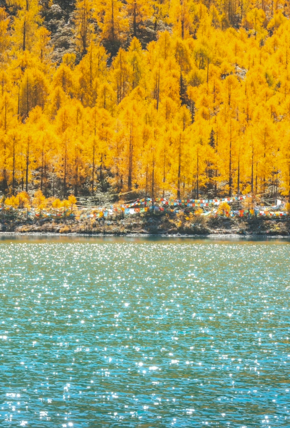 虽然到了丙申月，但现在其实还在走未月的余气。大概从14日庚申开始，金气会有所体现。本身原局金旺的人，对金的感应会更明显，大家可以观察看看。从申月下旬，尤其是处暑节气后，一直到丁酉月，都是金主气的时间，这两个月运势其实差不多。如果丙申月好，那丁酉月也行，如果丙申月较差，那丁酉月也不会太大改变。
