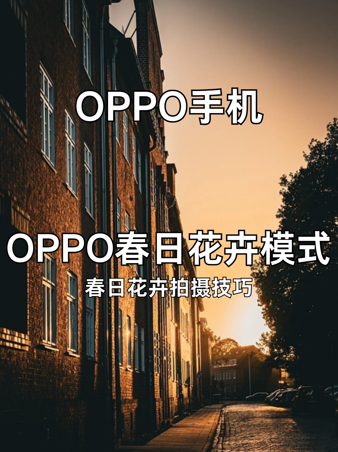 🌸OPPO拍花太绝了！4步教你轻松拍出花艺大片