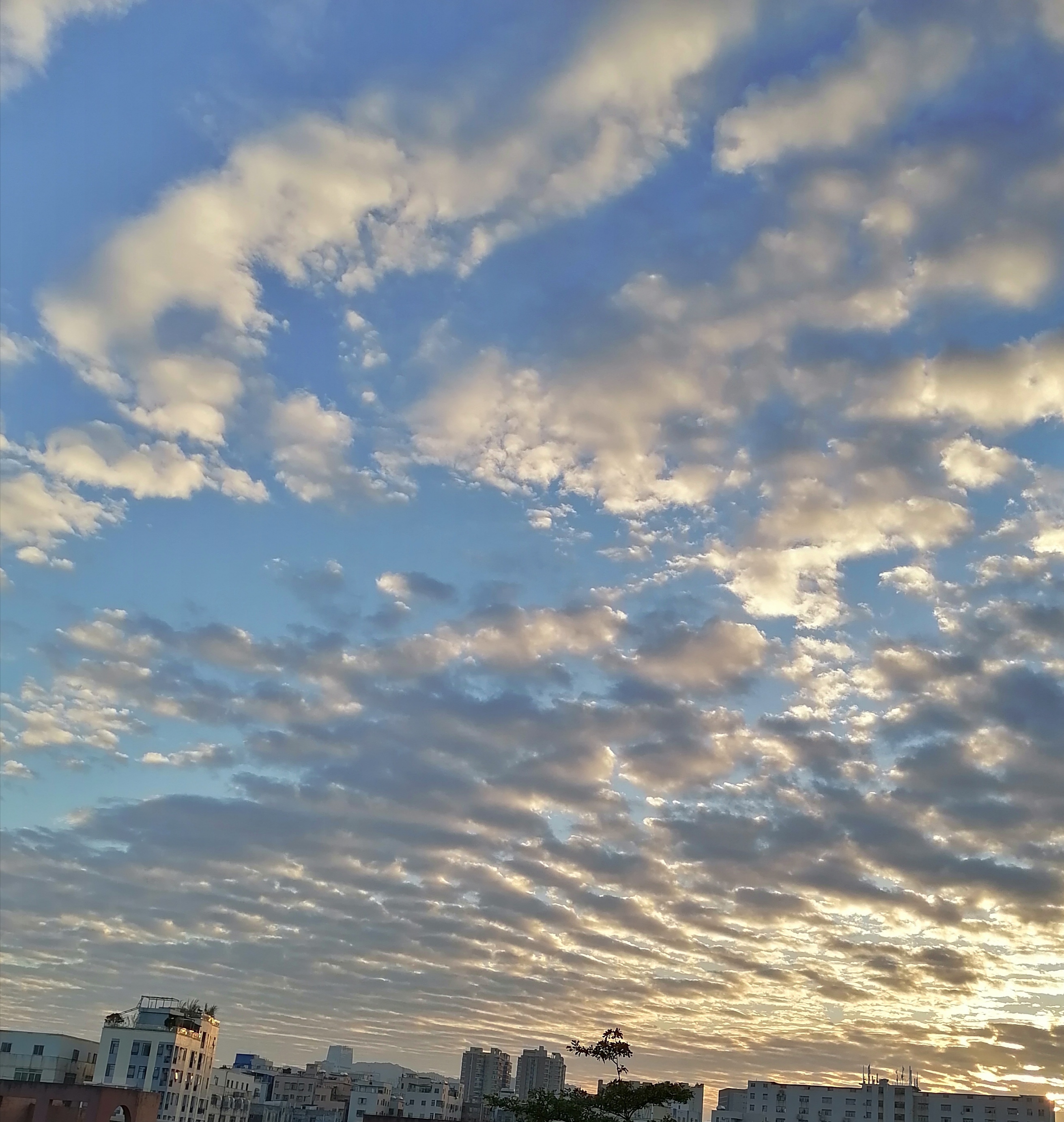 实习生合租，三千全包两室一厅，你觉得贵吗？女儿的选择却让我陷入沉思。 ...