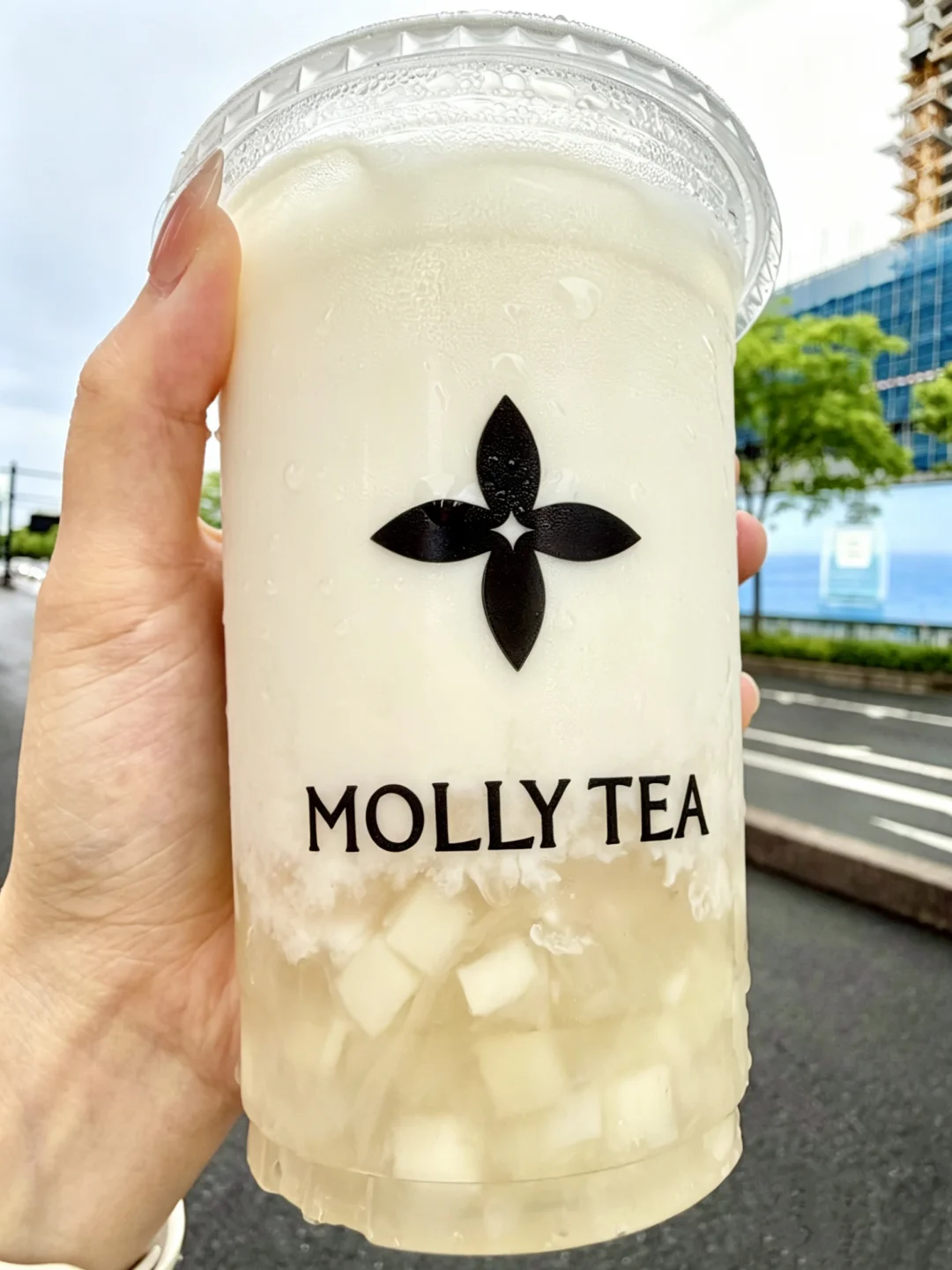 茉莉奶白你是龙眼的神…这几杯真的没对手！
