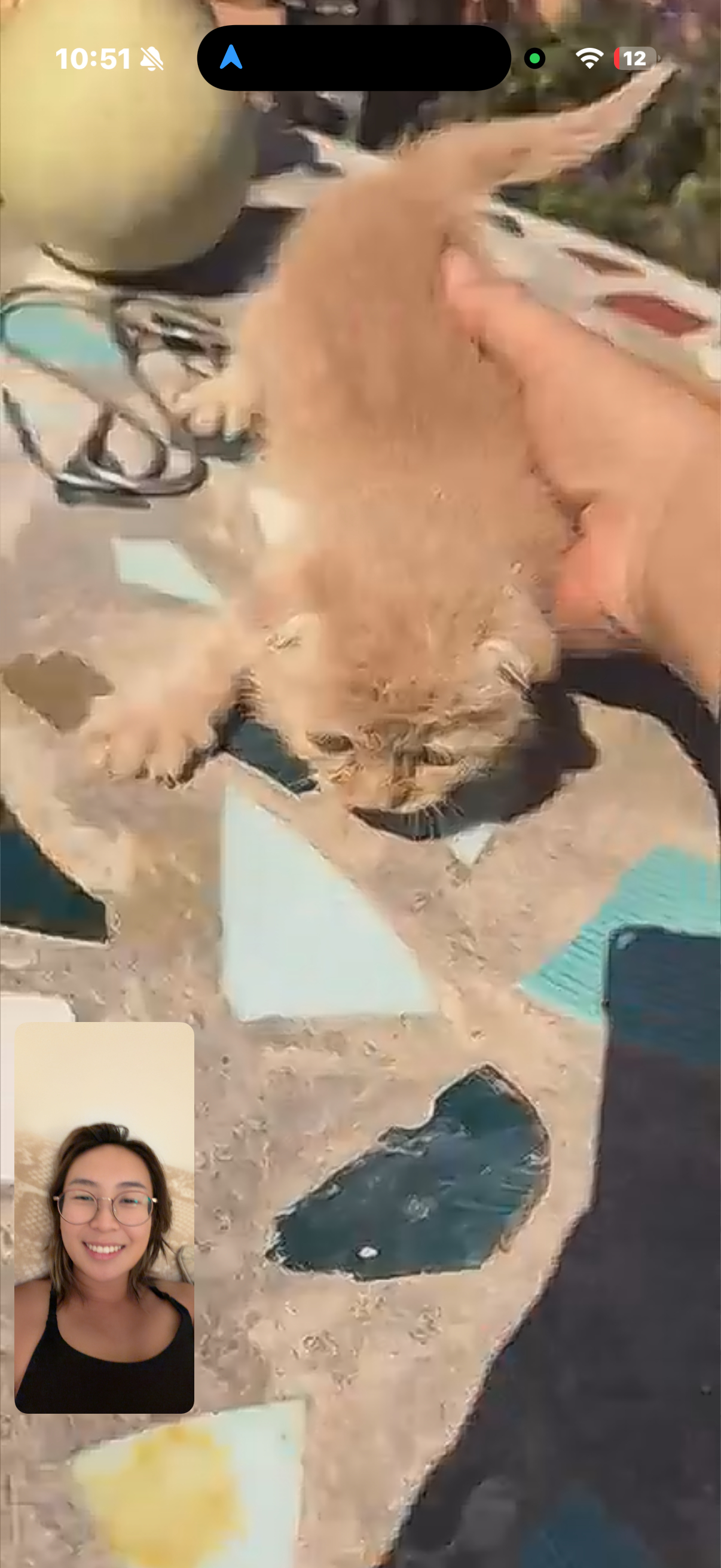 今天第一次和我妈救助的小猫打视频电话了。家里人给他起名叫福蛋。但我家狗的名字都是P开头的，我也想让小猫叫P什么。我妈说我给赞助猫粮就给我独家冠名权。朋友们有什么名字建议吗？单词P开头或者里面有P的都行。老大叫Happy老二叫Piddy ​​​