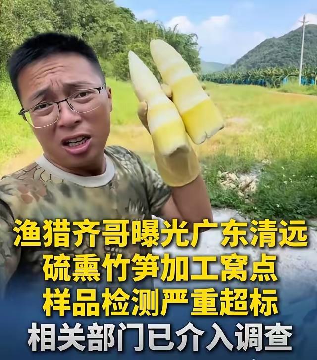 我怀疑过清远硫磺笋作坊为了暴利铤而走险，怀疑过当地小作坊长期偷工减料、违规操作，但万万没想到，最离谱的从来不止是黑心商家的贪婪。
 
环保博主“渔猎齐哥”实地探访清远两处竹笋加工点，拍下的画面触目惊心。山林间的作坊浓烟滚滚，刺鼻的硫磺味隔着老远都能呛得人嗓子发紧。
 
他现场采样送检的结果更是让人脊