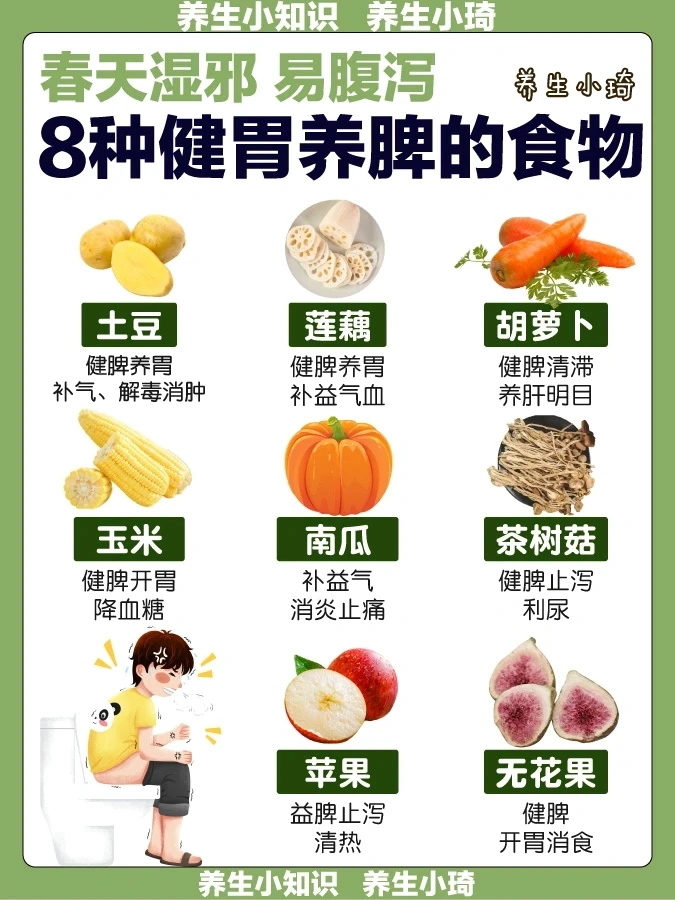 经常拉肚子？8种健胃养脾的食物｜消化吸收