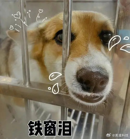 东门没了，如果你这都不明白，说明你的阅历太浅了。

#客服回应大量iPhone漂浮海面##小米手机[超话]# ​