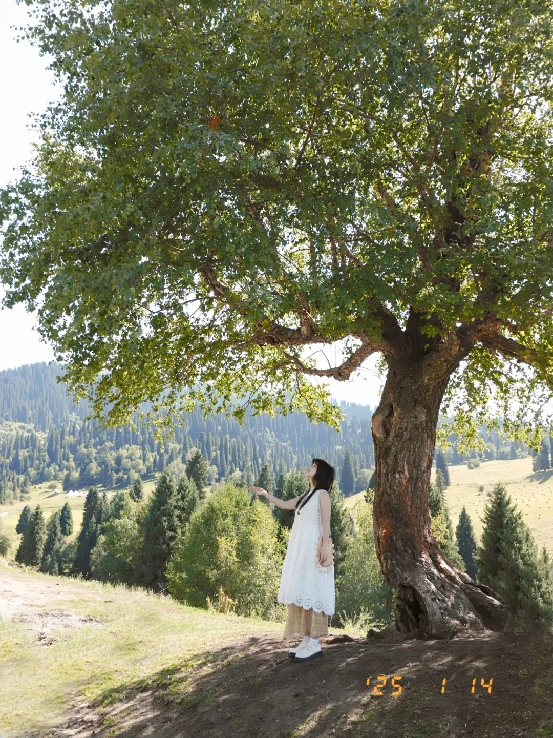 新疆那拉提❗拍到了人生照片，富士原图直出